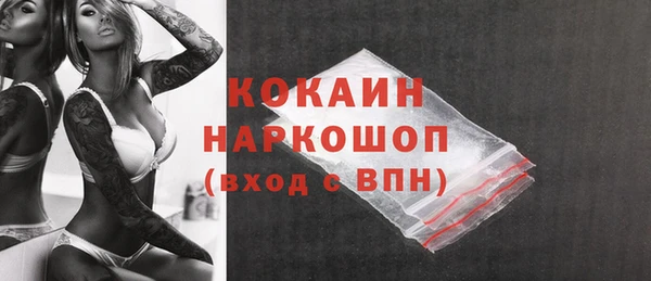 шишки Абинск