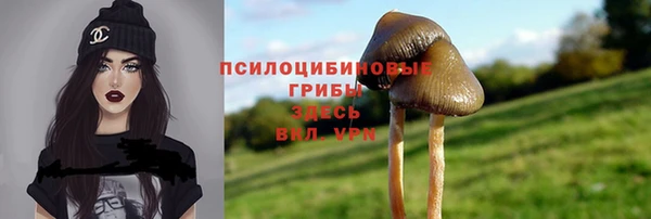 ешки Абдулино